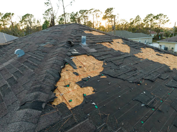Best Chimney Flashing Repair  in Lakeside, MT